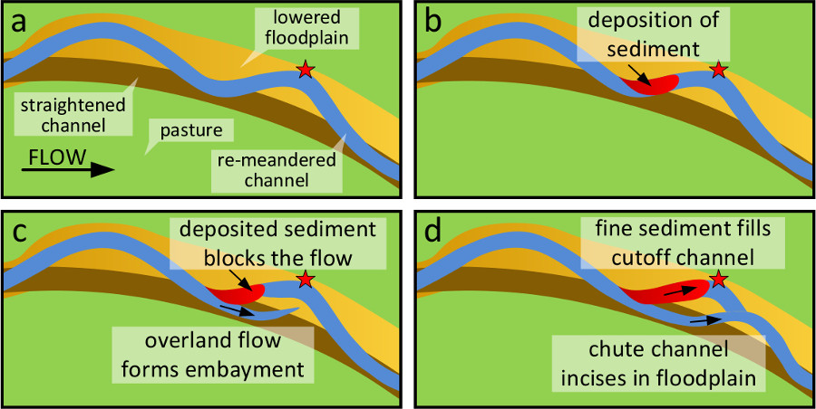 Graphical abstract for Chute cutoff as a morphological response to stream reconstruction: The possible role of backwater